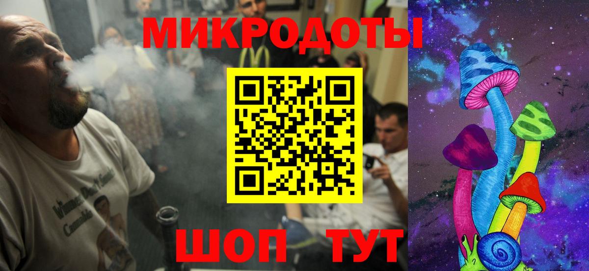 Галлюциногенные грибы Psilocybe Сыктывкар